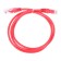 The Lanmaster TWT-45-45-0.5-RD UTP RJ-45 patch