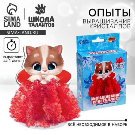Set for creativity. Radiant crystals "kitten"