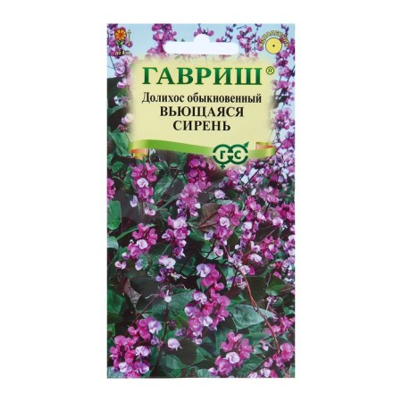 Flower seeds Dolikhos (hyacinth beans) "Blaging Lilac", 4 pcs