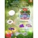DIY Firing Toy Set for Creativity: Medallion Violet