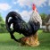 Garden figure "Andaluzsky Rooster" 37x41cm
