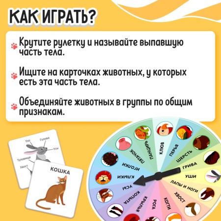 Developing set of "studying animals"-2
