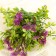 Bouquet "Alissum with Ostrim" 29 cm, mix