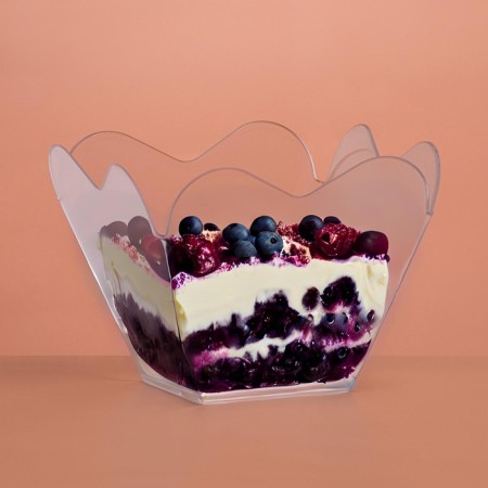 The form of plastic disposable for the cordial buffet, transparent, 40 pcs/units.-4