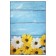 Rosetta Dzhtal carpet, size 110x170 cm, print blue board with daisies