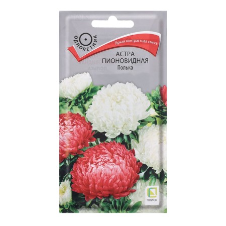 Flower seeds Astra Pionovid "Polka", 0.3g.
