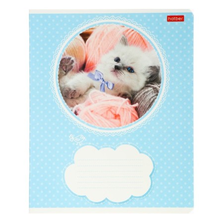 Notebook 18 sheets in the Kitty line, mix-1