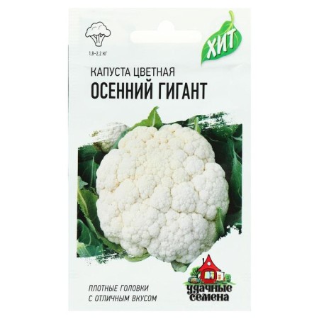 Seeds Cabbage Color "Autumn Giant", 0.1 g Series Hit X3-2