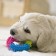 Chewing toy for dogs "piece of happiness", 9.5 cm