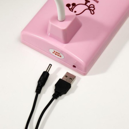 Table lamp 16291/1PK 16xLED 2W 2 USB AKB modes Pink 9x12x46 cm Risalux-8