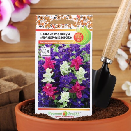 Flower seeds Salvia Horminum "Marble Gate", a mixture, 30 pcs-2