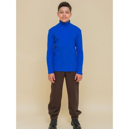 Turtleneck for the boy Pelican, height 98 cm, color ultramarin-5