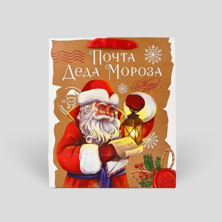 Laminated vertical packet "Mail Santa Claus", M 26 x 30 x 9 cm, New Year-3