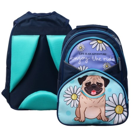 School backpack, 37 x 26 x 13 cm, ergonomic back, calligrata AN "bulldog"-5