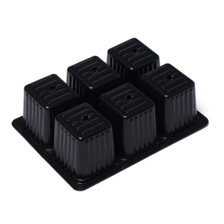 Cassette for seedlings, 6 cells, 120 ml, plastic, black, 18 × 13 × 6 cm, in a set of 10 pcs., Greengo-9