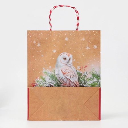 Gift "Owl" 26 x 32 x 12 cm-2