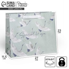 Gift Craft horizontal package, packaging, Special for You, 27 x 23 x 11.5 cm