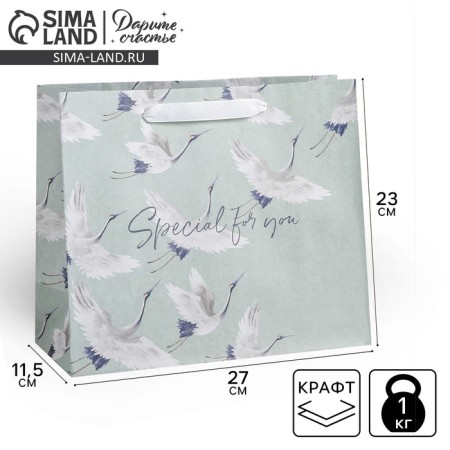 Gift Craft horizontal package, packaging, Special for You, 27 x 23 x 11.5 cm