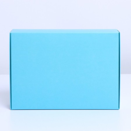 Gift folding box, packaging, Tiffany, 21 x 15 x 5 cm-2