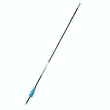 Arrow for the onion of Centershot 