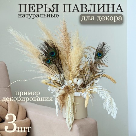 Feather of peacock for decor, set of 3 pcs., Size 1 pc. - from 25 to 30 cm