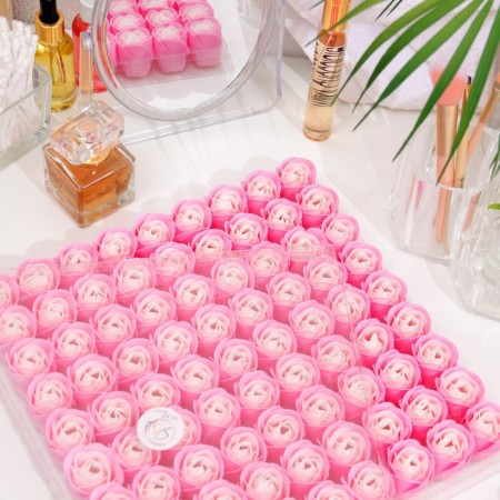 Soap rose, white-pink