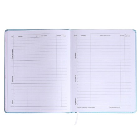 Universal diary for grade 1-11 Cotton Candy, solid cover, artificial leather, silkography, liesse, 80 g/m3-6