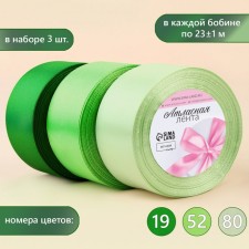 A set of satin ribbons, 3 pcs, size 1 tape: 50 mm × 23 ± 1 m, color green spectrum