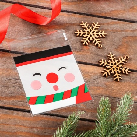 BOPP package with sticky tape, "Bear", 10*11+3cm mix-1