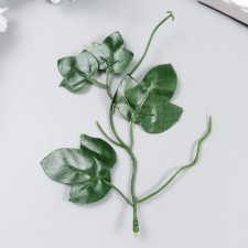 Decor for creativity 