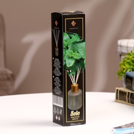 Aromatic diffuser "Solo" 50 ml mint rain-3