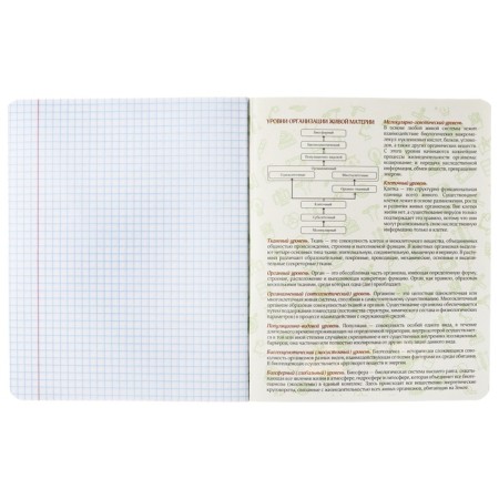 A set of subjects of Calligrata Top "Abstraction", 48 sheets, 12 items, with reference material, covered cartoon, holographic lamination, offset block-6