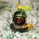 Duck with a propeller black, Hakki helmet