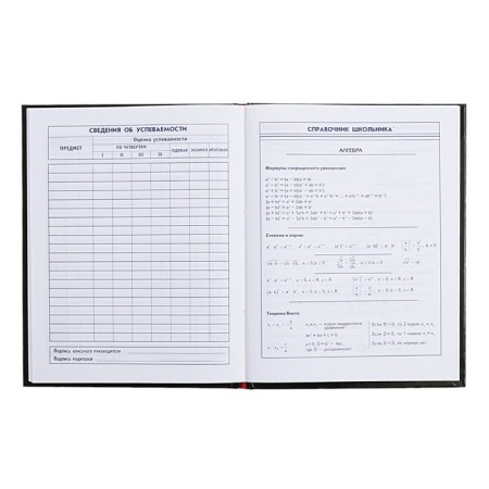 Diary for grades 5-11, 48 sheets "many cats", solid cover, glossy lamination, foil embossing, universal cheat sheet, block 65g/m2-8