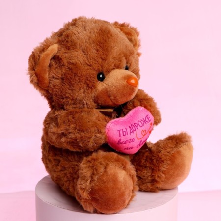 Soft toy "You are the most expensive in the world", Bear, Mix color-2