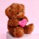 Soft toy "You are the most expensive in the world", Bear, Mix color