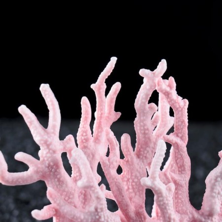 Plastic coal is small 17 x 6 x 13 cm, pink-2