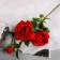 Artificial flowers "Webly rose" d-10 cm 67 cm, red
