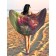Pareo and beach rug "Bouquet of tulips", d = 150 cm