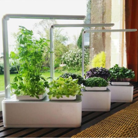 Hydroponic installation with phytolamps, Hobbyfarm mini-8