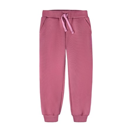 Pants for the girl "Basic", height 98 cm, pink color-1
