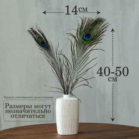Feather of peacock for decor, set 2 pcs., Size 1 pc. - from 40 to 50 cm-1