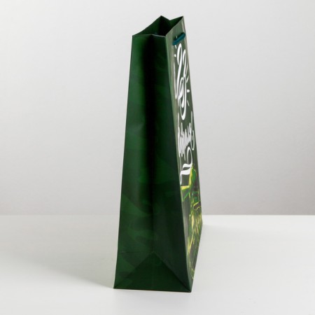 Gift laminated vertical package, packaging, "armor is strong", m 26 x 30 x 9 cm-1