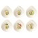 Avocado products container, 400 ml, 15.5 × 13.5 × 4.5 cm, light-beige color, MIX drawing