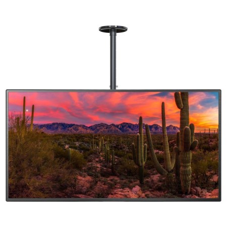 CACTUS CS-CP04-R CACTUS Black 37 "-70" Max.81.6kg Ceiling Turn and N 107418-3