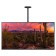 CACTUS CS-CP04-R CACTUS Black 37 "-70" Max.81.6kg Ceiling Turn and N 107418