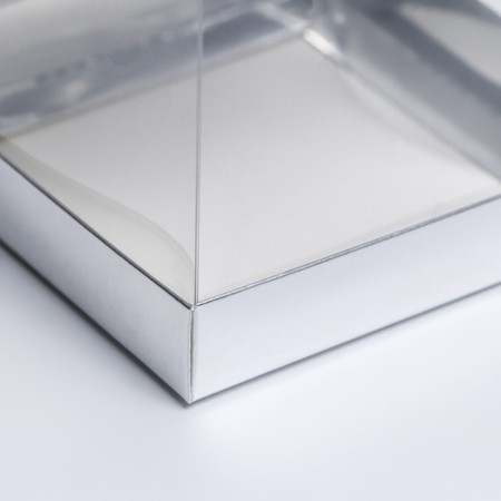 Box with PVC mini 10 x 10 x 12 cm "silver"-2