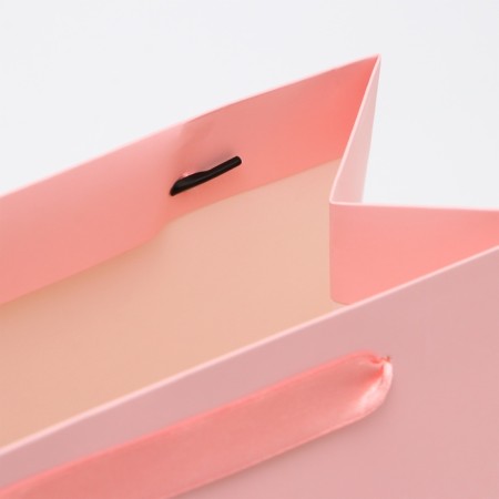 Laminated Lilac Package, Ml 23 × 27 × 11.5 cm-3
