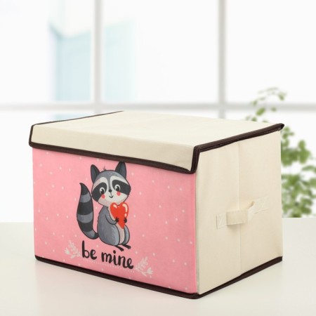 Stellid box for storage with a raccoon lid, 39 × 25 × 25 cm