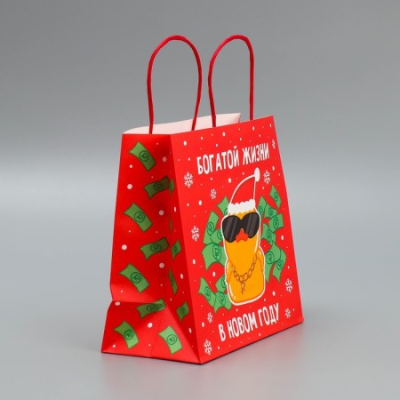 Package Gift Crafts "Something on the Rich", 22 x 22 x 11 cm, New Year-1